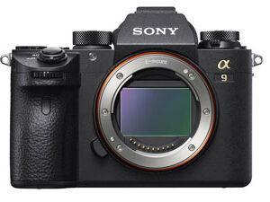 Sony A9 Rental