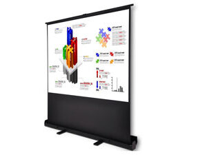 Insta Theater Screen Rental